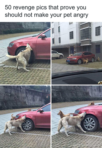 download 2025 10 24T125416.441.png