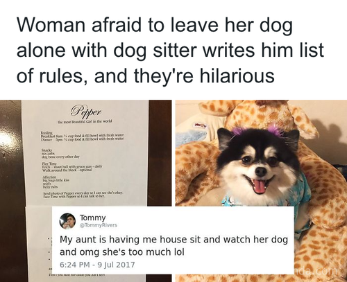 download 2025 10 24T120155.162.png