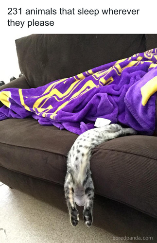 download 2025 10 24T115642.608.png