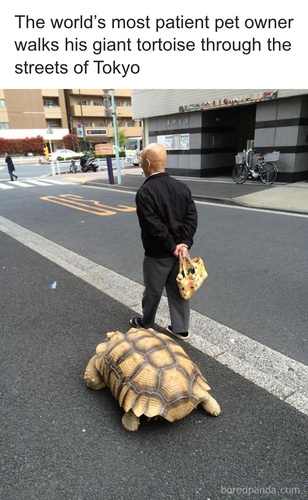 download 2025 10 24T123209.869.png