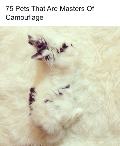 download 2025 10 24T121215.565.png