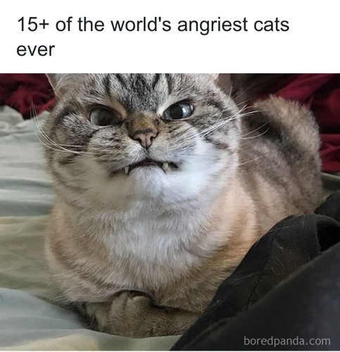 download 2025 10 24T121619.296.png