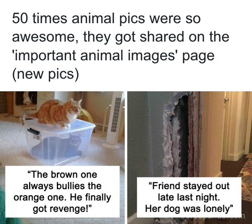 download 2025 10 24T124552.334.png