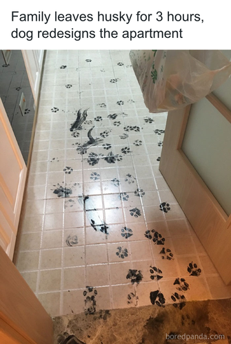 download 2025 10 24T124117.725.png