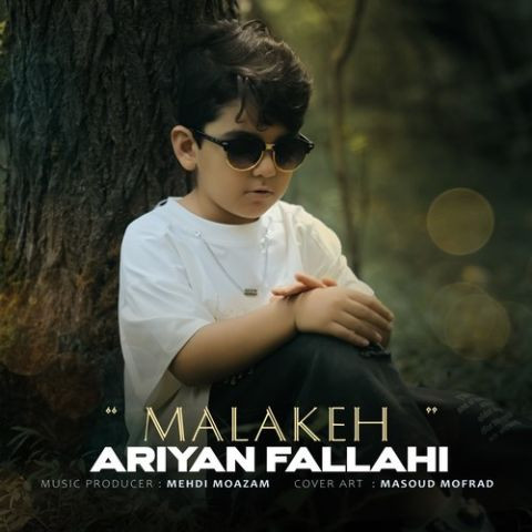 دانلود آهنگ آرین فلاحی به نام ملکه