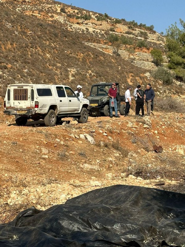 رغم هجوم مليشيات المستوطنين، يواصل أهالي بلدة بيت إكسا شمال غرب القدس المحتلة قطف ثمار الزيتون في أراضيهم بعد تصديهم لمحاولة المستوطنين طردهم من المكا...