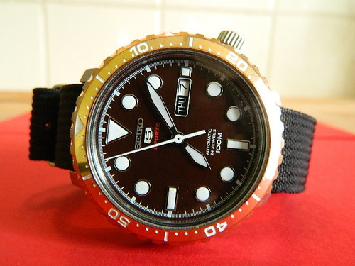 DSCN7862.jpg