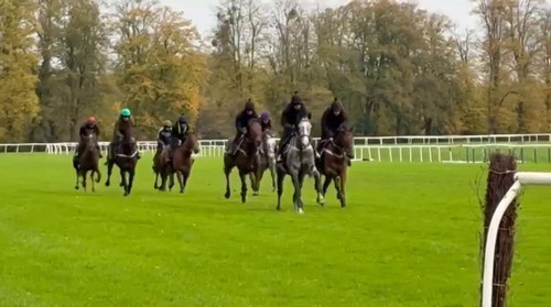 PuQzpRu1kxjp kWK.jpg