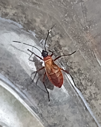 IMG 20251024 132509809.jpg