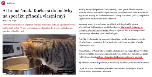 Bez názvu.png