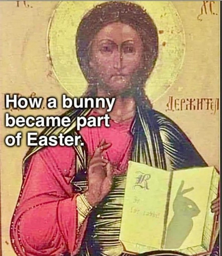 bunny.jpg