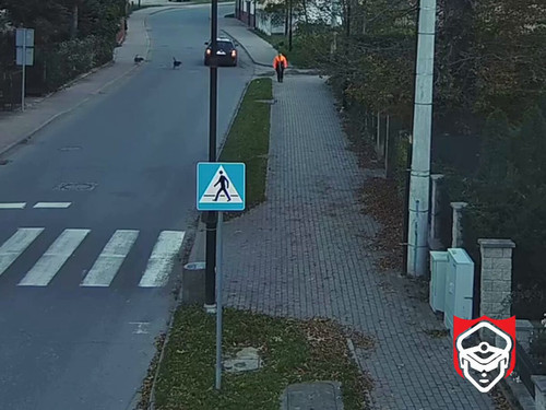 I9l MSOIO7s NpPY.jpg