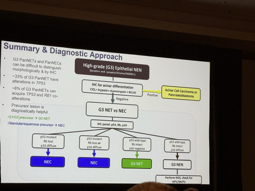 G383hwBW0AAFp9J.jpg