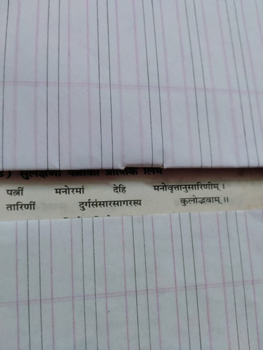 file 497.jpg