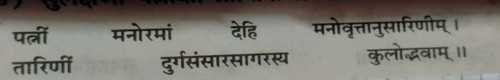 file 498.jpg