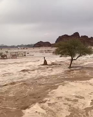 T9f2kXYpgbX9lJR .jpg