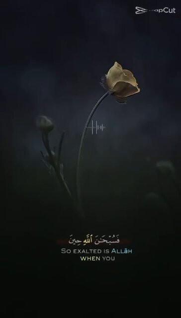 3dD2 MNzFXUtOzZj.1