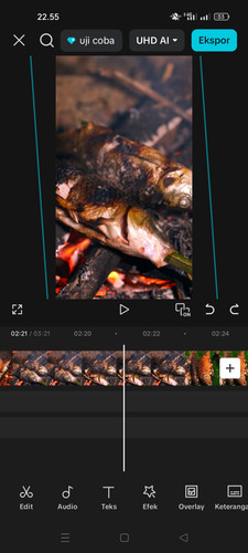 Screenshot 2025 10 24 22 55 42 07 dba69a5e82e939c3ddef13f99a115ca3.1