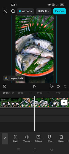 Screenshot 2025 10 24 22 51 07 22 dba69a5e82e939c3ddef13f99a115ca3.1
