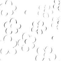 ROJO PARA TABLA2.png