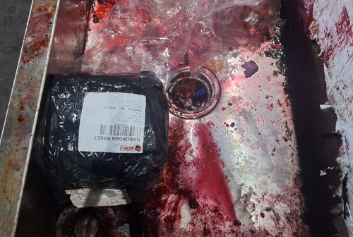 WhatsApp Image 2025 10 24 at 02.55.14 d970f7a0.jpg