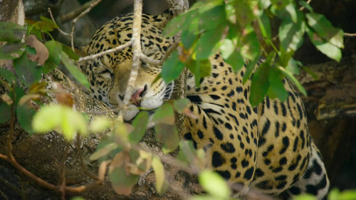 6EB1u0 vikUq0xVT.jpg