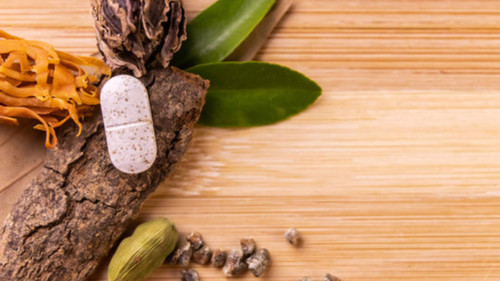 Shaping Tomorrow’s Pharmacognosy: Key Trends & Challenges.jpg