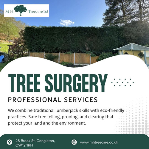 Professional Tree Surgery You Can Rely On.1