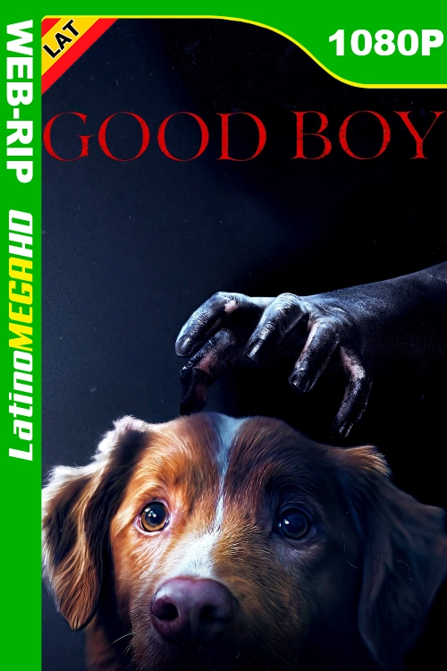 Covers LMHD copia (42).webp