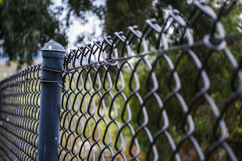 Chain Link Fence.jpg