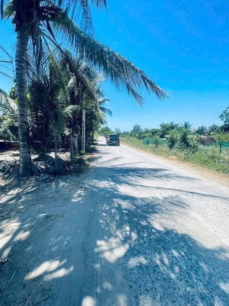 558945240 1809249647132563 5211986410753802217 n.jpg