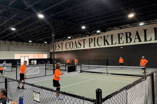 Best Carbon Fiber & Fiberglass Pickleball Paddles.gif