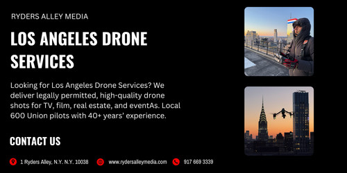 Los Angeles Drone Services.jpg