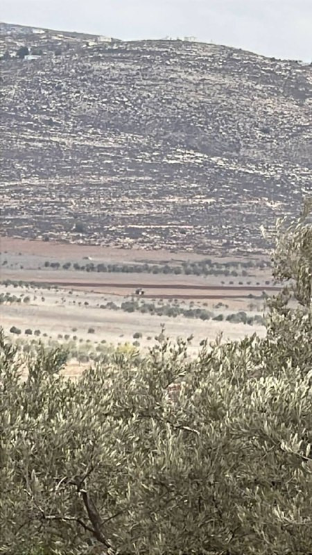 مستوطنون يحرثون أراضي المواطنين في سهل ترمسعيا شمال رام الله...