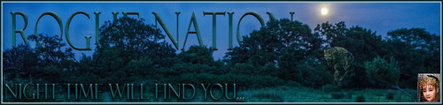 FindU Banner.jpg