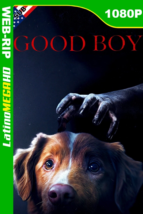 Covers LMHD copia (43).webp