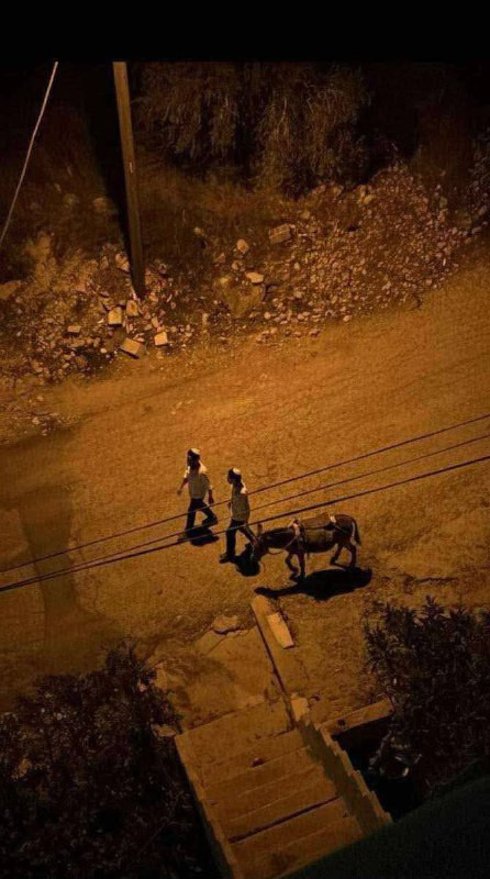 مصادر محليّة: تواجد لمستوطنين في بلدة بيرزيت شمال رام الله....