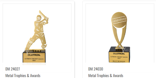 Buy Customized Trophy Online in India – Delhi Trophy.png