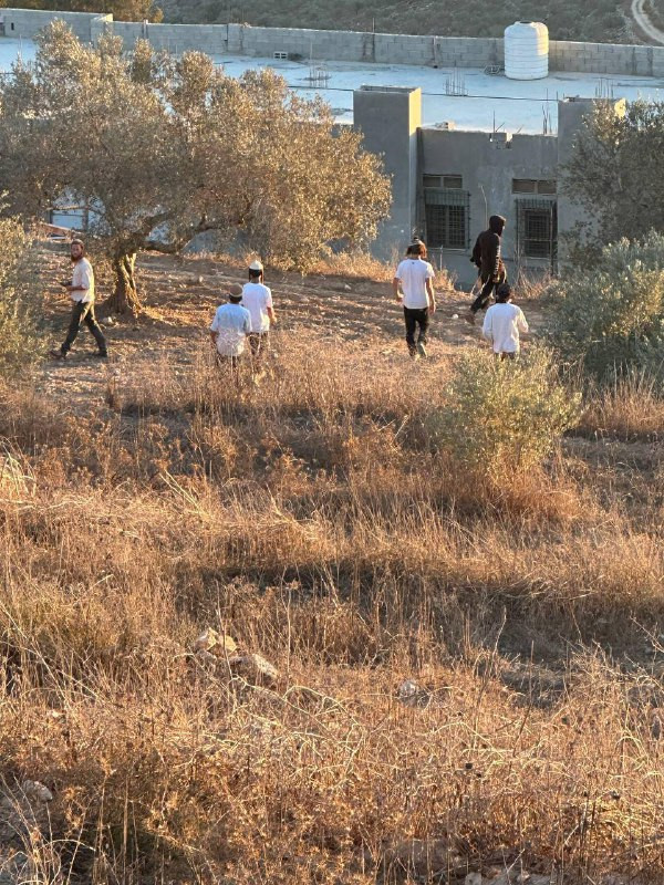 عاجل | مستوطنون يقتحمون قرية فرعتا شرق قلقيلية...