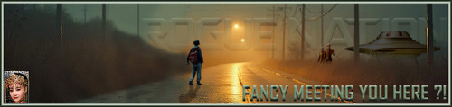 MeetSt Banner.jpg