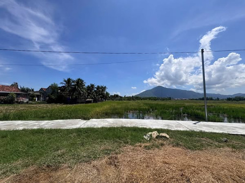 558681001 3450450358460161 3590653457067688286 n.jpg