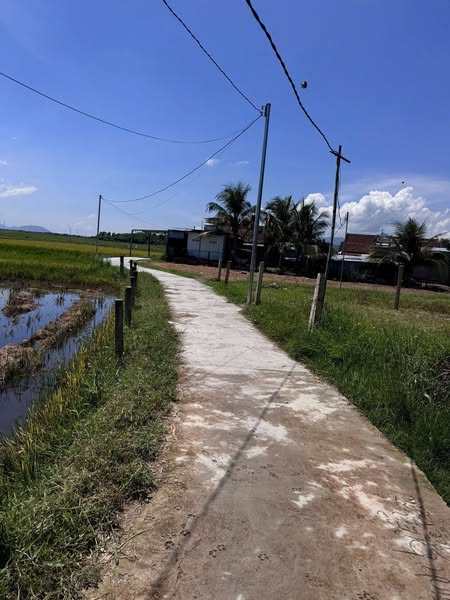 558832530 3450450441793486 2602884765502677157 n.jpg