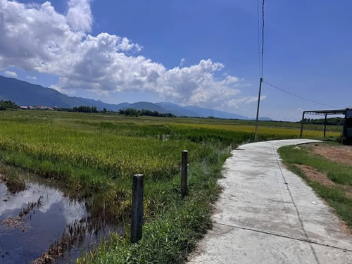 556987779 3450450408460156 2112916312563497134 n.jpg