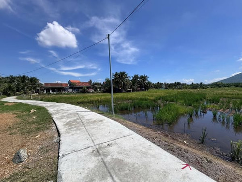 514272242 3450450395126824 1857989164476461982 n.jpg