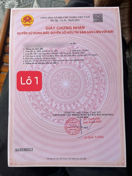 557639084 2722686961395704 4173238170866879708 n.jpg