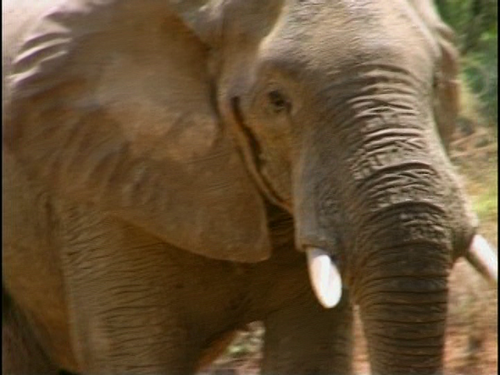 vlcsnap 2025 10 06 19h23m59s419.png