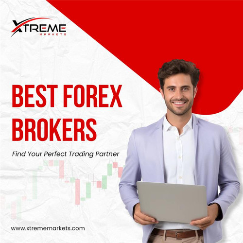 Best-Forex-Brokers-–-Find-Your-Perfect-Trading-Partner.jpg