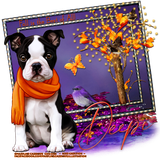 Autumn Fiery Deepi
