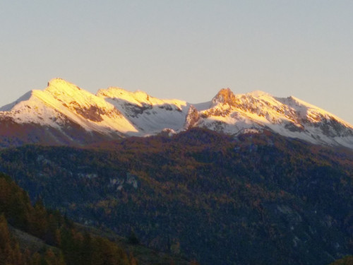 IMG 20251030 171811.jpg