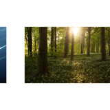 you WISH the filename was the answer (8)